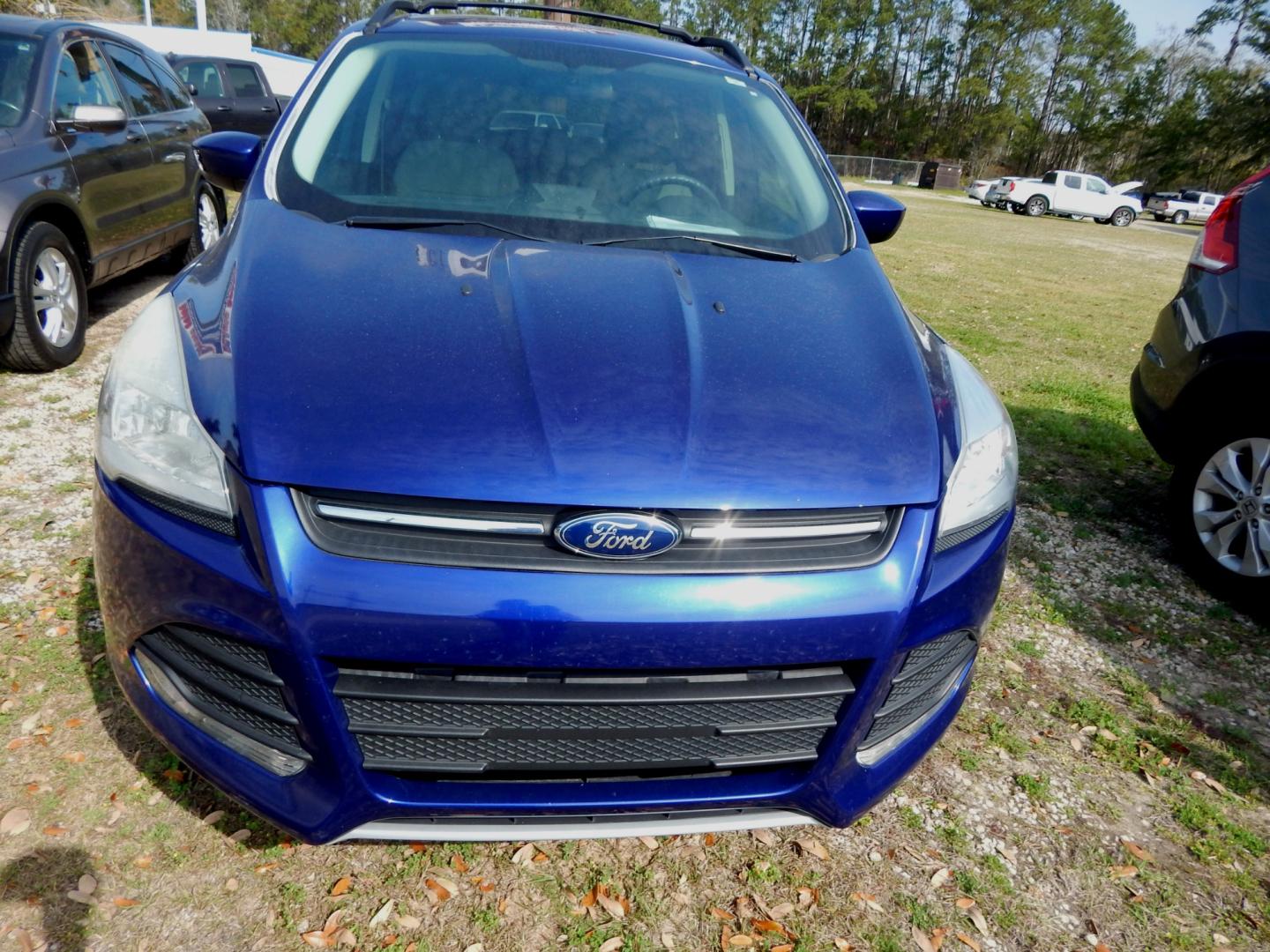 2013 Blue /Gray Ford Escape SE (1FMCU0GX3DU) with an 1.6L 4 cyl. engine, Automatic transmission, located at 3120 W Tennessee St, Tallahassee, FL, 32304-1002, (850) 575-6702, 30.458841, -84.349648 - Photo#2